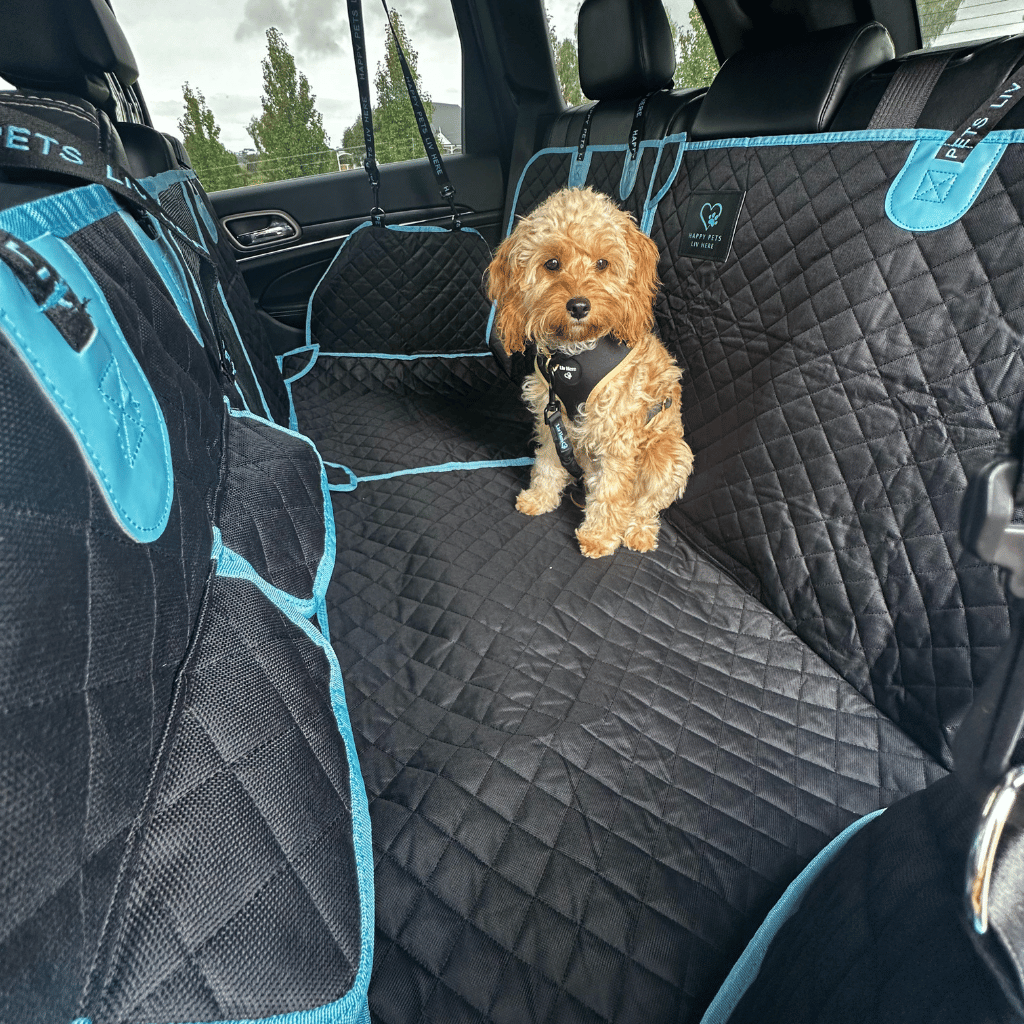 Pet Car Seat Mat Seat Belt