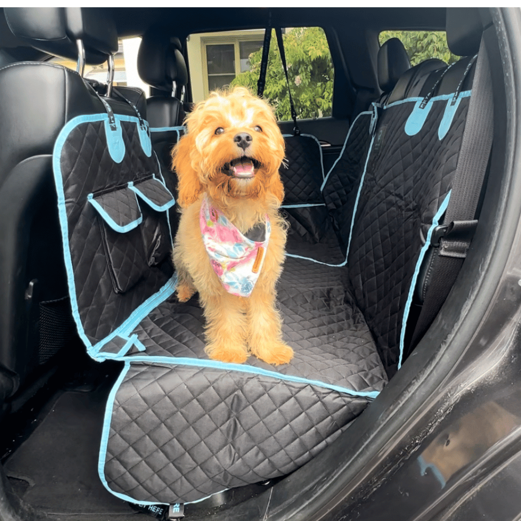 Pet Car Seat Mat + Seat Belt