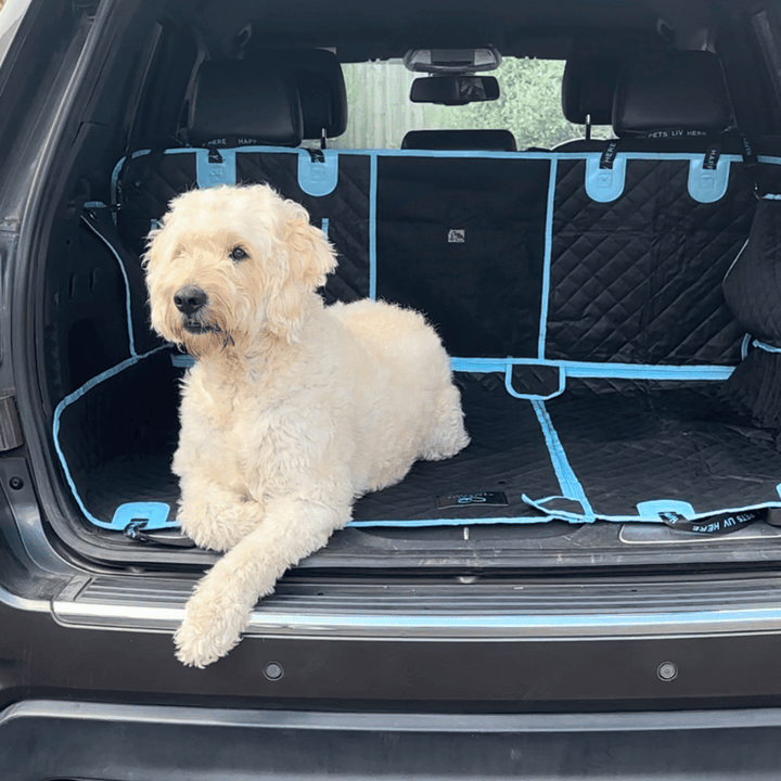 Pet Car Seat Mat + Seat Belt