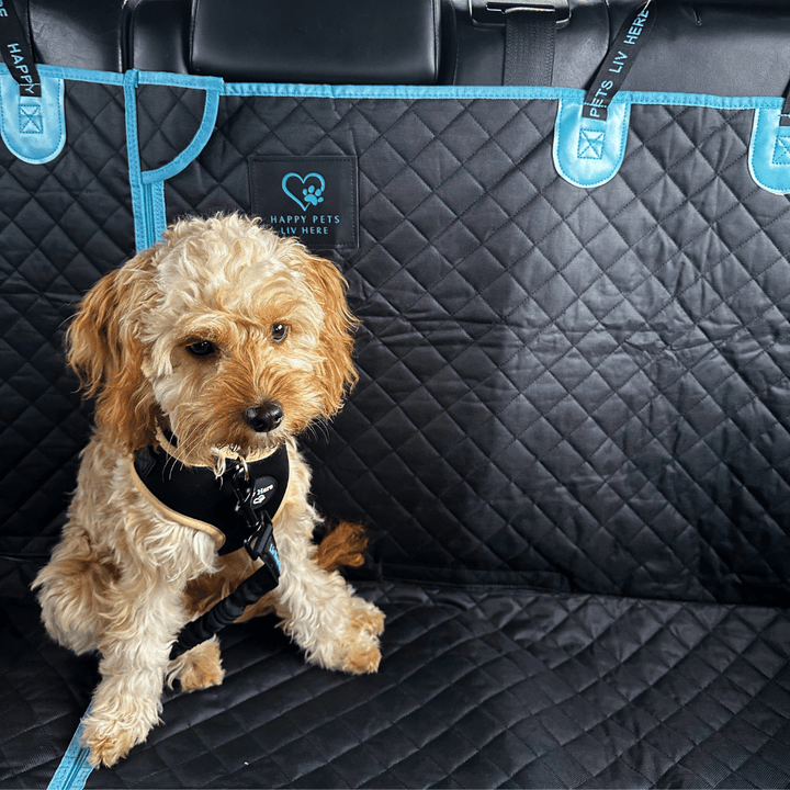 Pet Car Seat Mat + Seat Belt