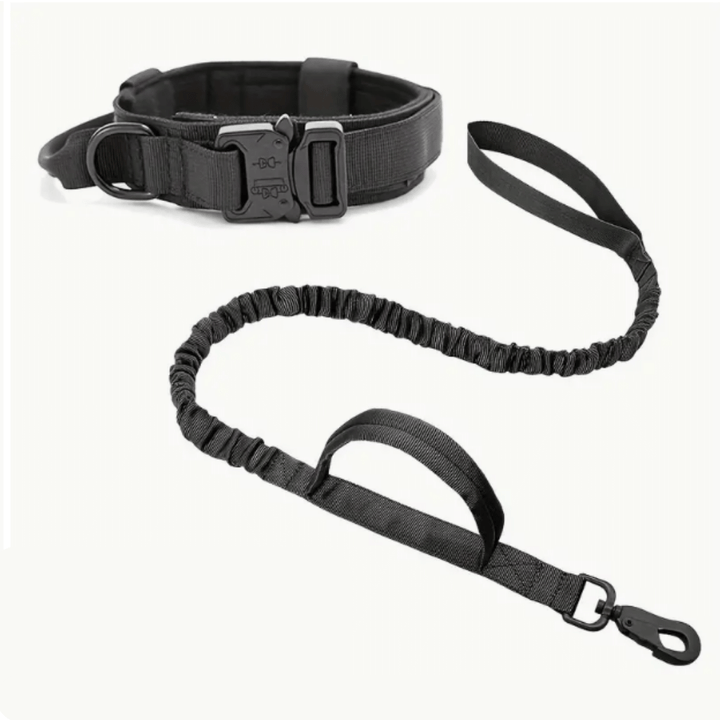 Heavy Duty Dog Collar + Free Heavy Duty Lead