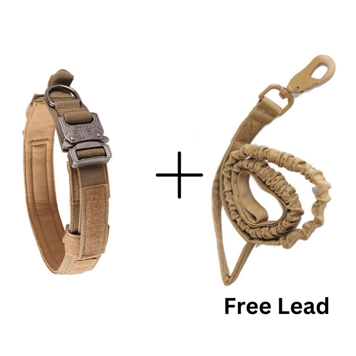 Heavy Duty Dog Collar + Free Heavy Duty Lead