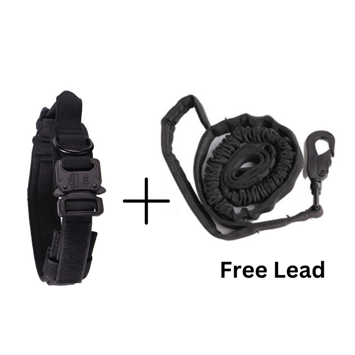 Heavy Duty Dog Collar + Free Heavy Duty Lead