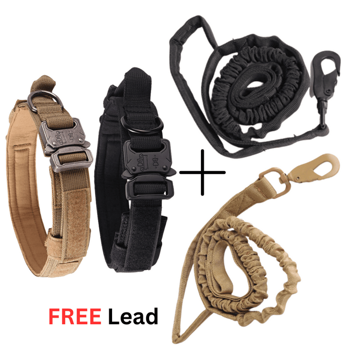 Heavy Duty Dog Collar + Free Heavy Duty Lead