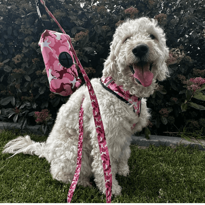 Harness and Lead Set