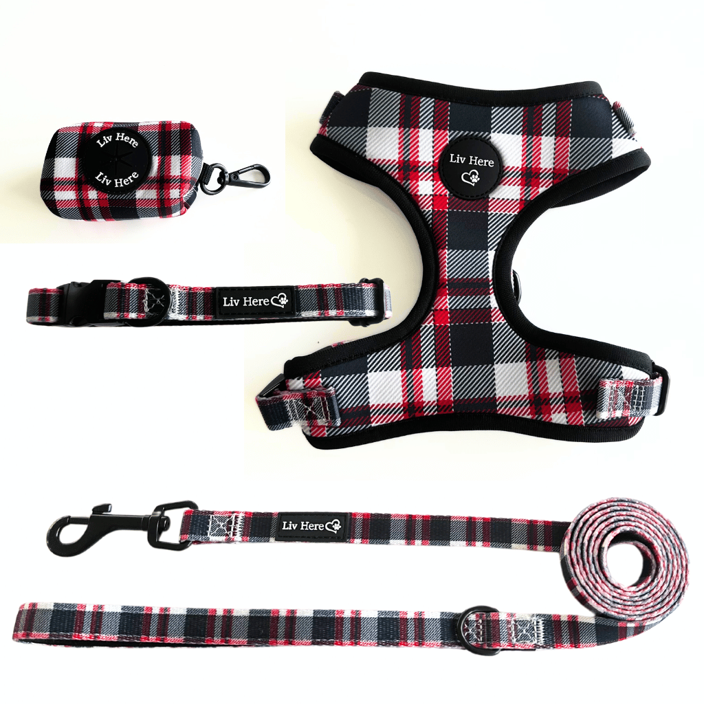 Harness Bundle Set to easily walk your dog 