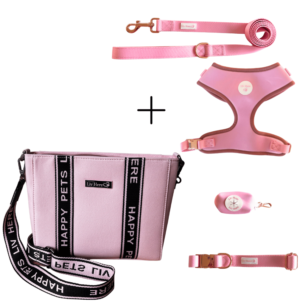 Mix and match cafe bag and harness set