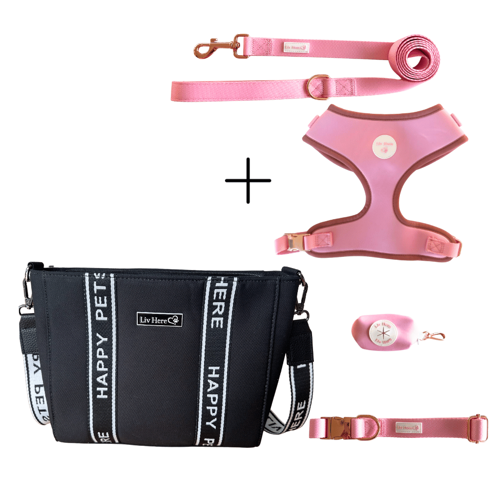 Mix and match cafe bag and harness set