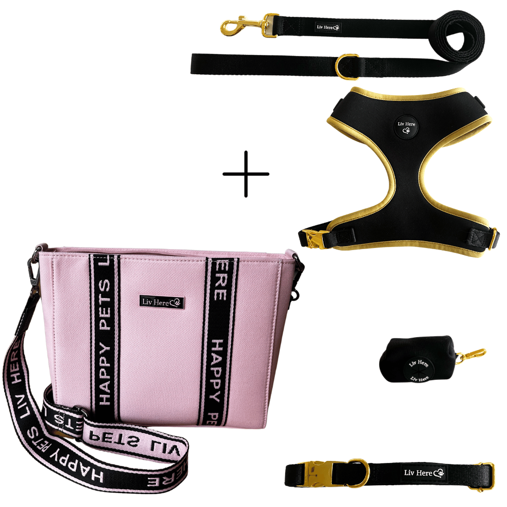 Mix and match cafe bag and harness set