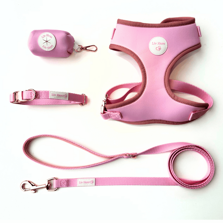 Harness and Lead Bundle