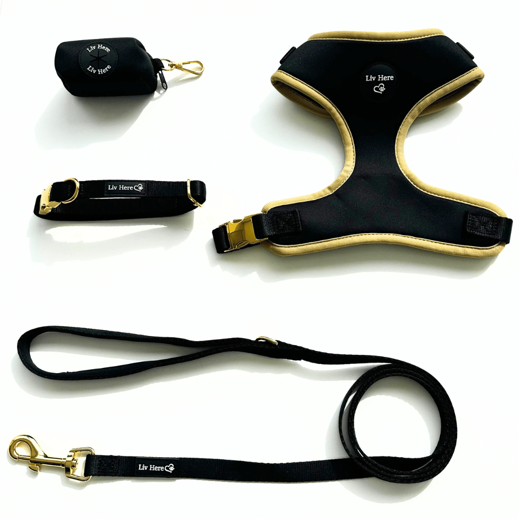 Harness and Lead Bundle