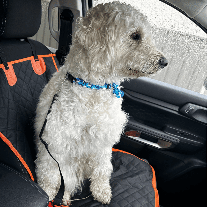 Pet Car Seat Mat